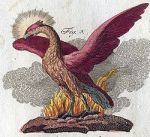 Phoenix-by F.J. Bertuch (1747-1822